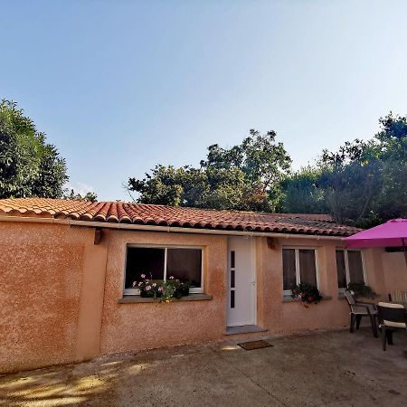 Maison De Village Proche Commodites Murato エクステリア 写真